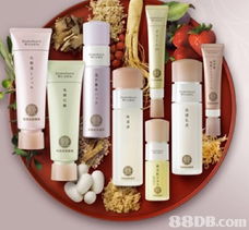 Domohorn Wrinkle 您的专业护肤伙伴