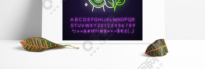 植物护肤新纪元 解码有机保湿产品的科技与美学